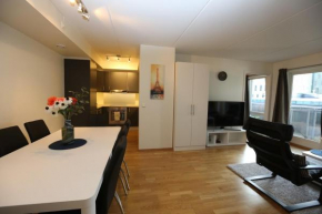 OSLO CITY CENTER 3 BEDROOMS APARTMENT, MANDALLS GATE 12